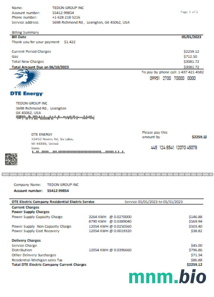 DTE Energy rachunek za usługi komunalne strona 1